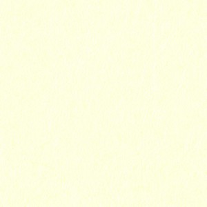 bg_img001